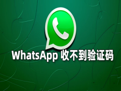 WhatsApp大陆手机号收不到验证码怎么办？看完这一篇，99%可以解决WhatsApp一直无法接受验证码问题。