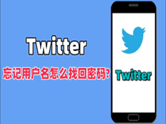 推特忘记密码怎么办，Twitter账号密码快速找回教程