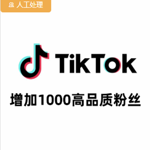 TikTok粉丝关注