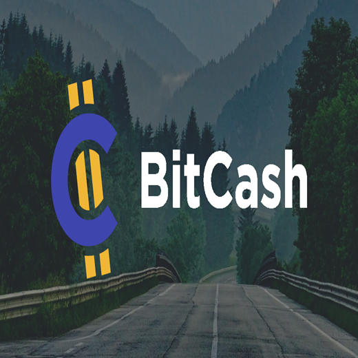Bitcash（日本）dmm充值卡