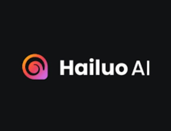 HaiLuo Al会员充值 海螺HaiLuo Al充值 standard会员  HaiLuo Pro会员代付代购
