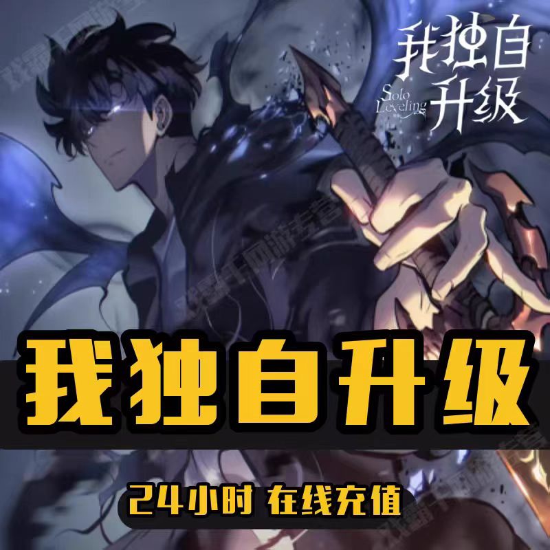 我独自升级充值